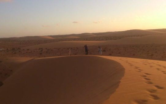 Sahara Occidentale - Fiori nel deserto: ministero delle vocazioni