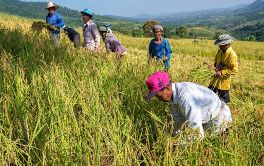 Thailandia: la vita missionaria a Mankhaw