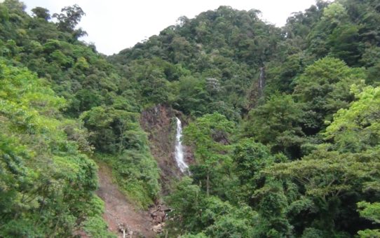 Querida Amazonia e il sogno di una Chiesa missionaria /3