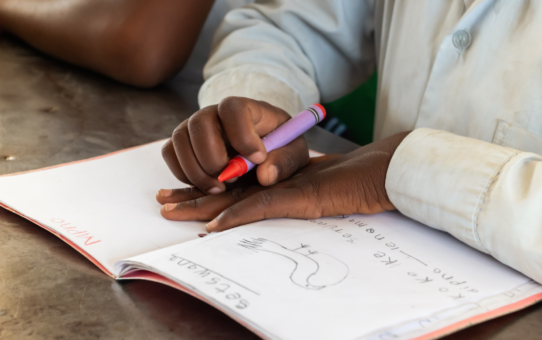 Scuole di Pabidjar, Quetafine e Farim in Guinea Bissau￼